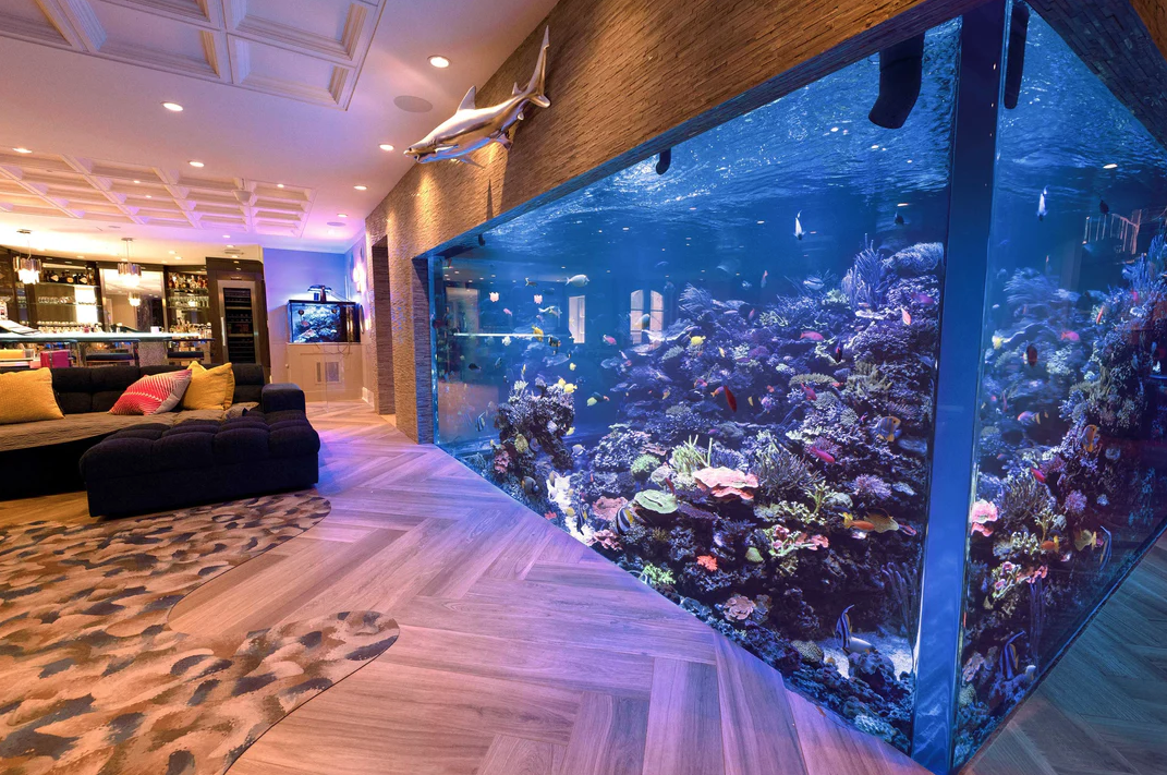 15000 gallon reef aquarium